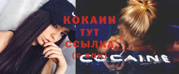 твердый Гусев
