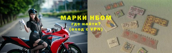 твердый Гусев