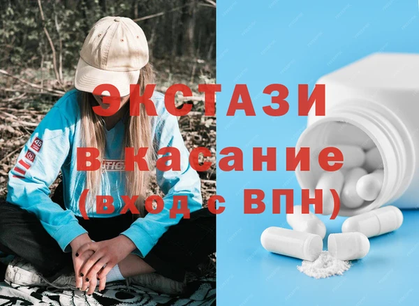 твердый Гусев