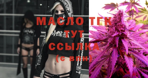 твердый Гусев