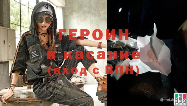 твердый Гусев