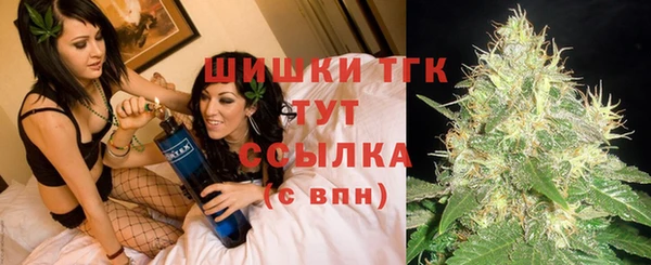 твердый Гусев