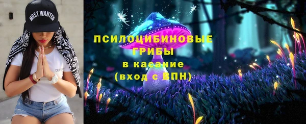 твердый Гусев