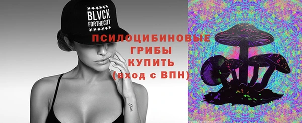 не бодяженный Дмитриев